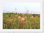 1200 Field * 2478 x 1743 * (3.02MB)